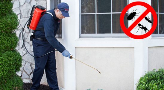 Bodrum Böcek İlaçlama böcek ilaçlama ve haşere kontrolü — ilaclama-tr.com